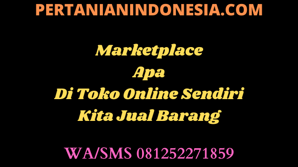 Marketplace Apa Di Toko Online Sendiri Kita Jual Barang